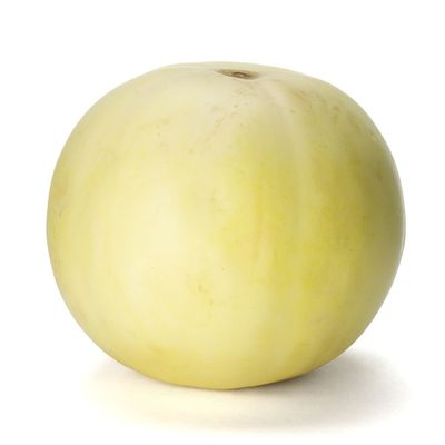 Organic Honeydew Melon
