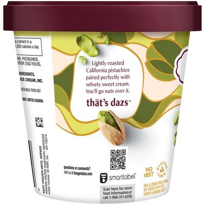Haagen-Dazs Pistachio Ice Cream