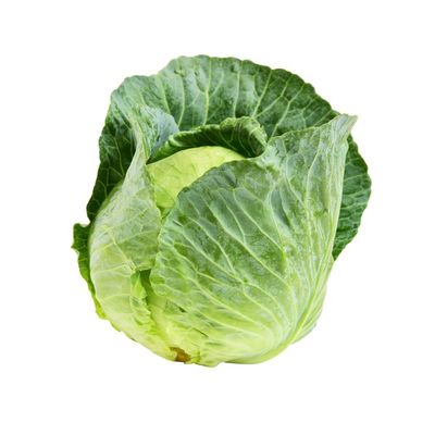 Cabbage