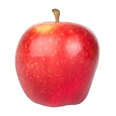 Organic Elstar Apple