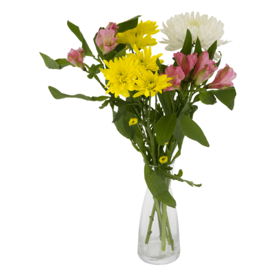 Ahold DIY Bunches Starter Bunch