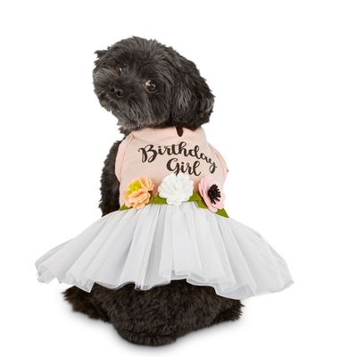 Bond & Co Large Birthday Dress Pet Costume