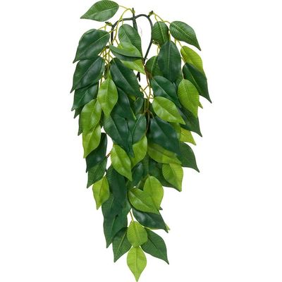 Exo Terra Silk Ficus Jungle Plant