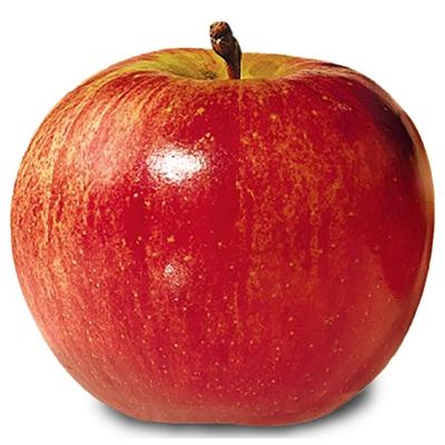 Fuji Apples, Bag