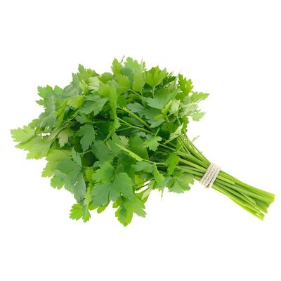 PARSLEY CURLY ORGANIC