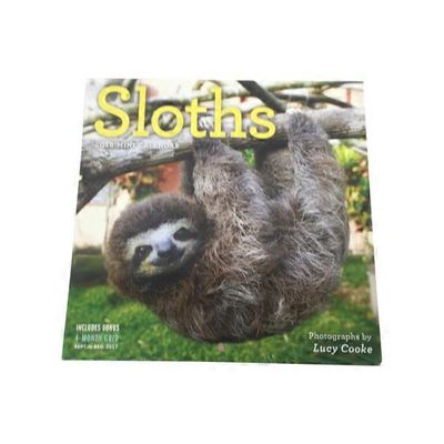 Workman Publishing Company Sloths Mini Wall 2018 Calendar