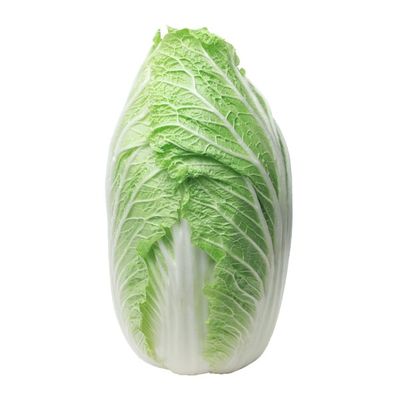 Chinese Cabbage