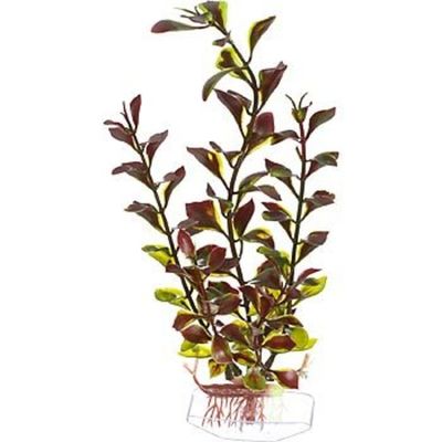 Petco Red & Green Ludwigia Background Plastic Aquarium Plant