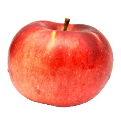 Spartan Apple