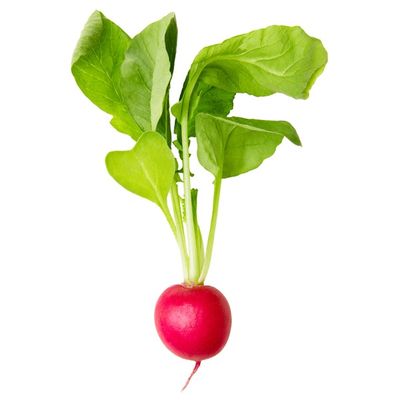 Radish