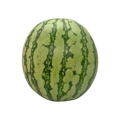 Mini Seedless Watermelon