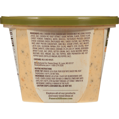 Panera Bread Broccoli Cheddar Soup
