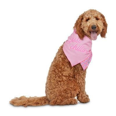 Seas Chln Large Extra Large Endless Bandana