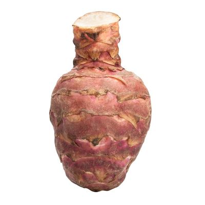 Organic Sunchoke