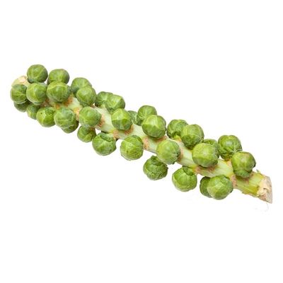 Ocean Mist Farms Brussels Sprouts Stalk