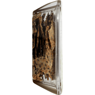 Top Seedz Crackers, Sea Salt