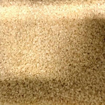 Arborio RIce