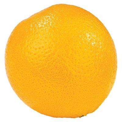 Valencia Orange