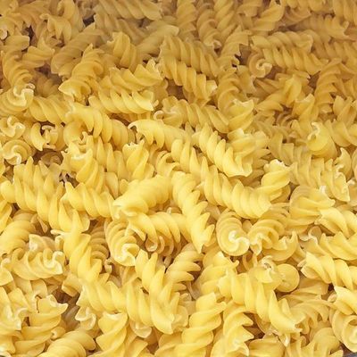 Medallion Rotini