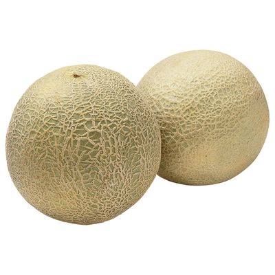 Cantaloupe
