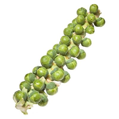 Brussels Sprout Stalk