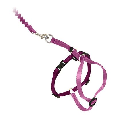 PetSafe Medium Dusty Rose Gentle Leader Come With Me Kitty Harness & Bungee Leash