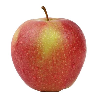 Organic Wealthy Apple