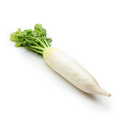 Daikon Radish Bunch