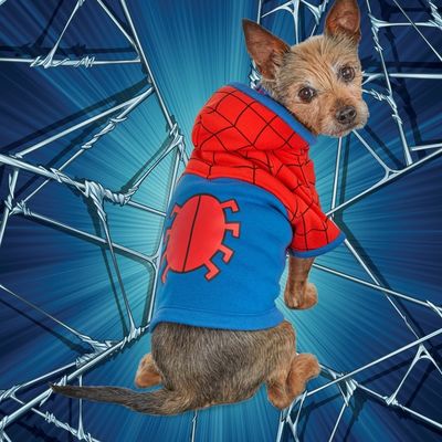Marvel Small Spiderman Hoodie