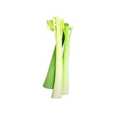 Celery Stalk