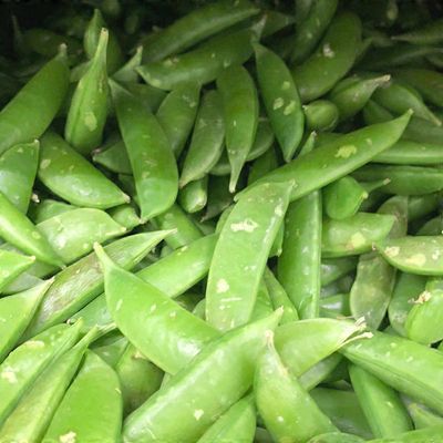 Mann Stringless Sugar Snap Peas, Bulk