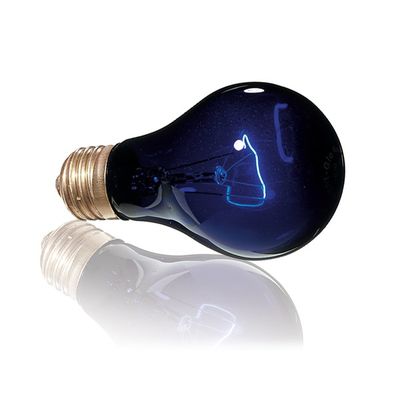 Exo Terra 75 W Moonlight Lamp
