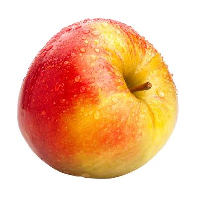 Jonagold Apple