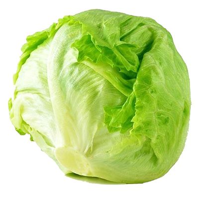 Iceberg Lettuce