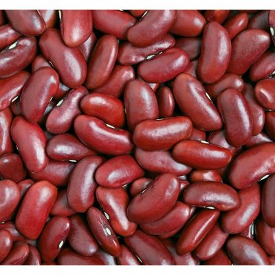 Organic Dark Red Kidney Beans Organic Dark Red Kidney Beans