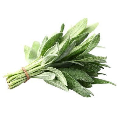 Organic Sage