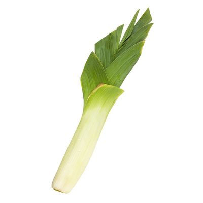 Organic Baby Leek