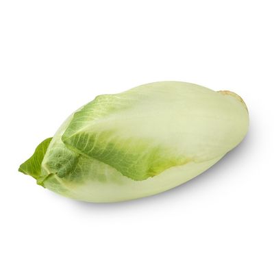 Organic Belgian Endive