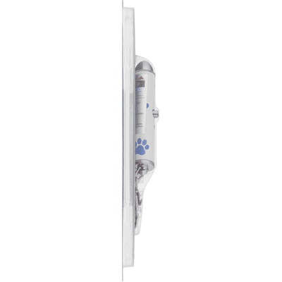Companion Interactive Laser Toy for Cats and Dogs