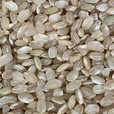 Short Grain Brown Rice