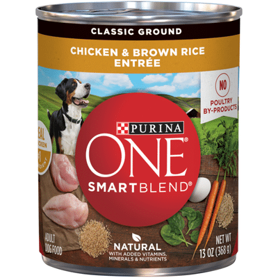 Purina ONE Natural Pate Wet Dog Food, SmartBlend Chicken & Brown Rice Entree