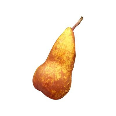 Organic Bosc Pear