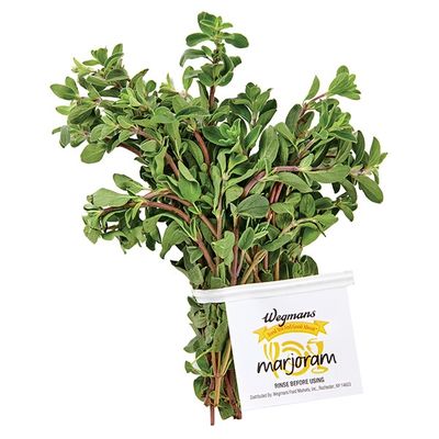 Marjoram