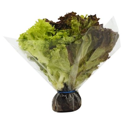 Lettuce, 3-in-1