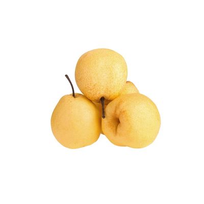 Asian Pear