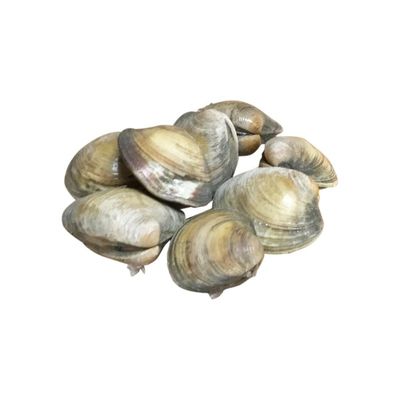 The Fresh Market Fresh Mussels