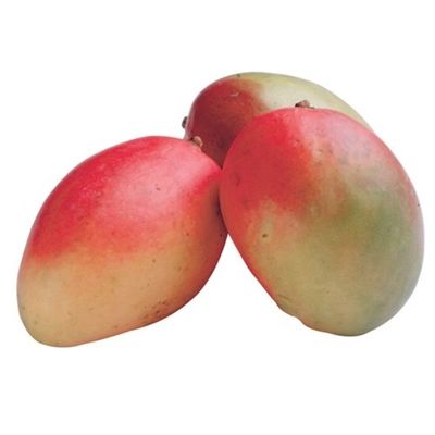 Wegmans Large Mangos