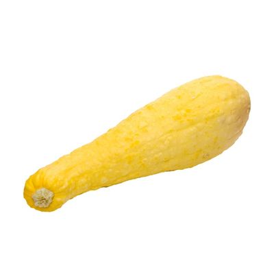 Crookneck Squash