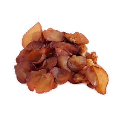 Wood-Ear Mushroom