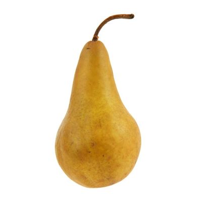 Bosc Pear Bag